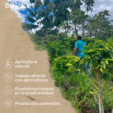 Colombian ECO Specialty - 1Kg