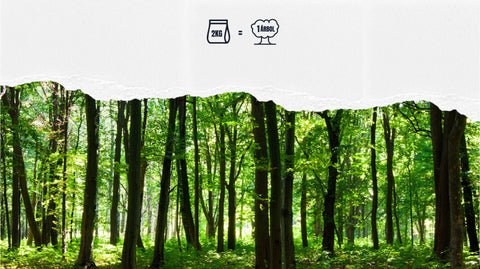 Planta tu árbol y haz crecer el bosque de 69.