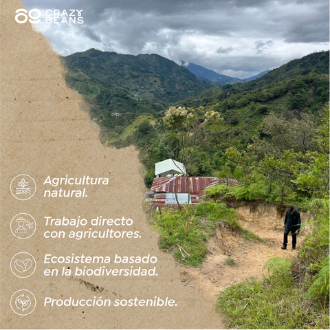 Colombian ECO Specialty - 500g